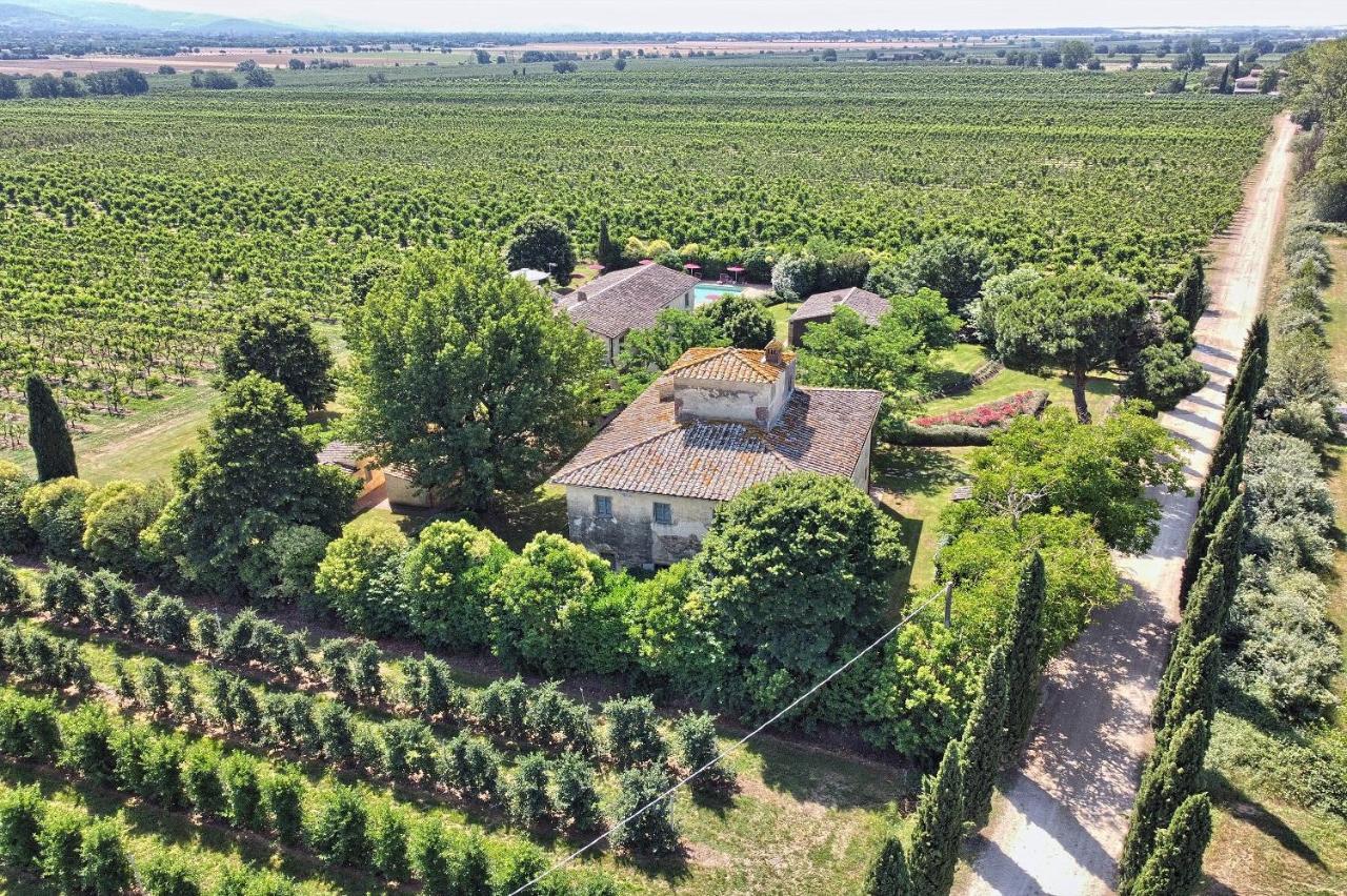 Foresteria Il Giardino Di Fontarronco Alberoro Zewnętrze zdjęcie